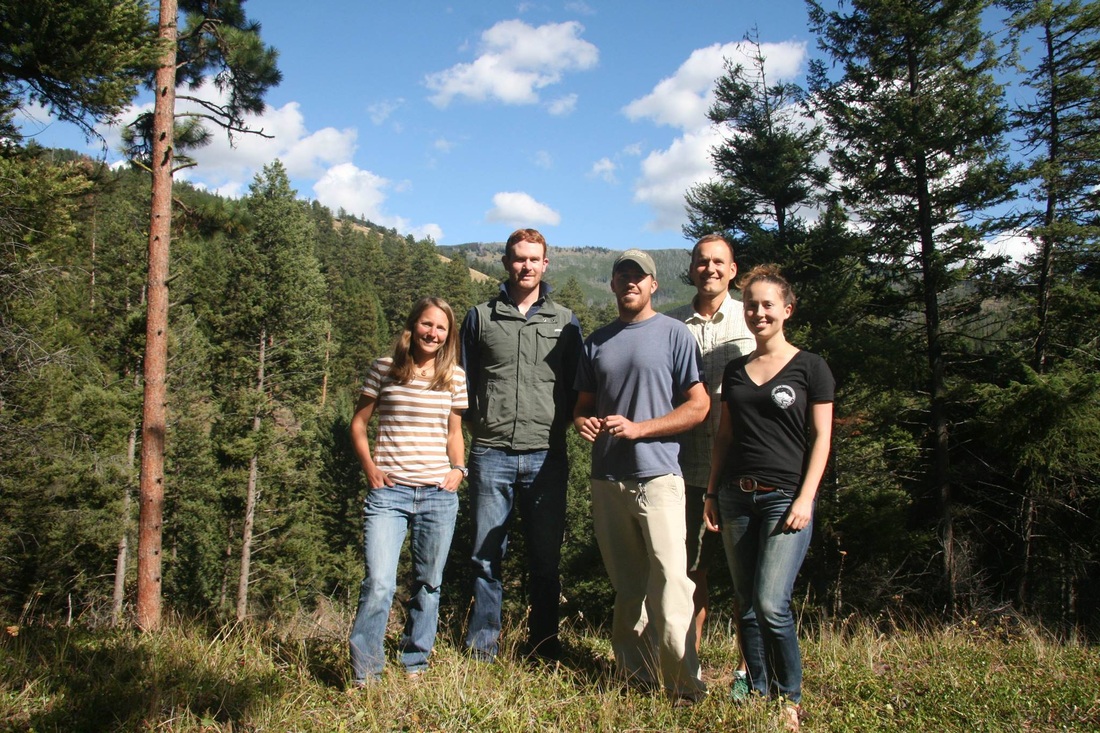 Group of researchers standing outdoors among evergreen trees