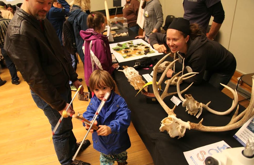 Volunteers sharing animal skins and skulls with the public
