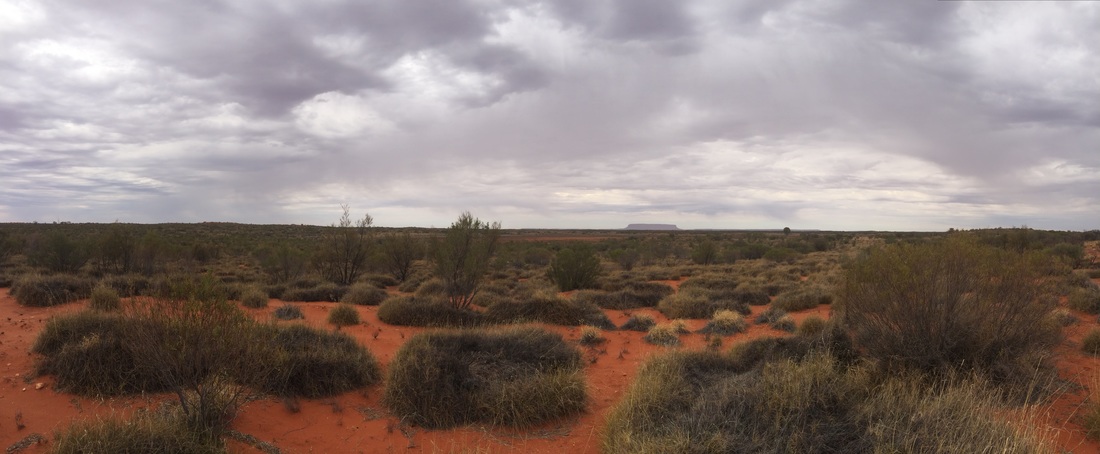 Cloudy day on Australian outback with red dirt and Uluru in the background