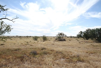 Photo of sunny day in Australian outback