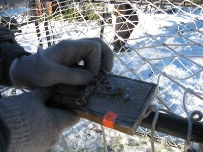 Using a mouse trap trigger to set a trap outdoors.