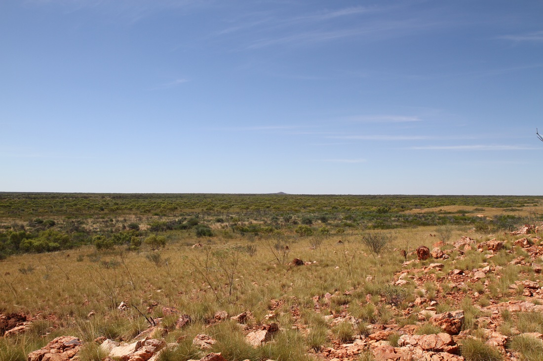 Australian outback with red dirt and small plants 