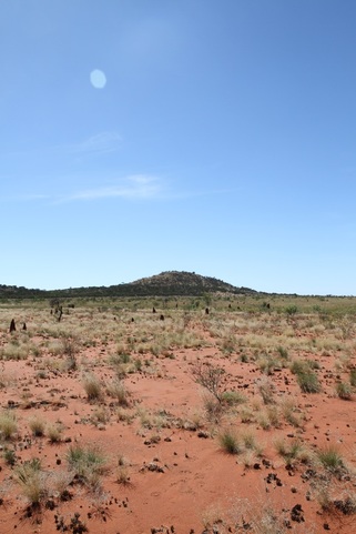 Australian outback with red dirt and small plants 