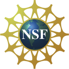 Logo for National Science Foundation