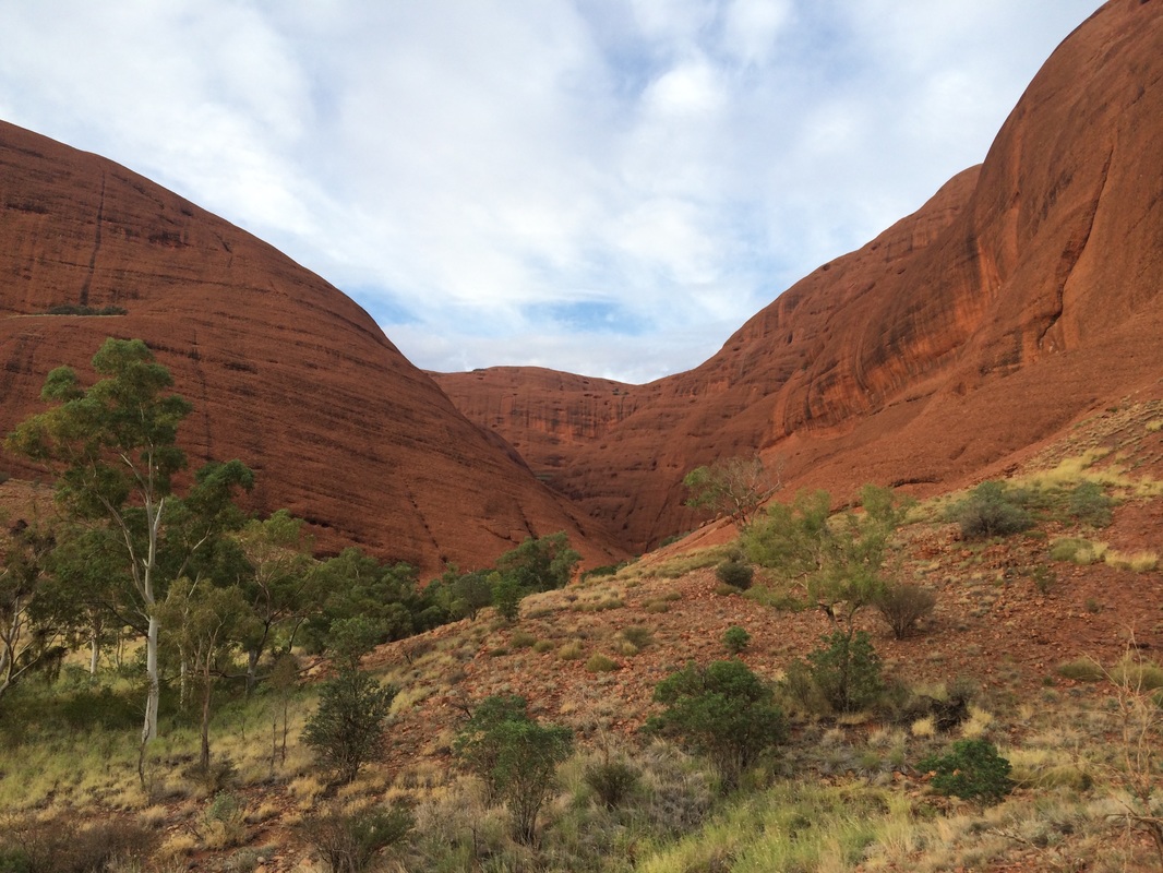 Red rock formations with green plants at Kata Tjuta in the Australian outback