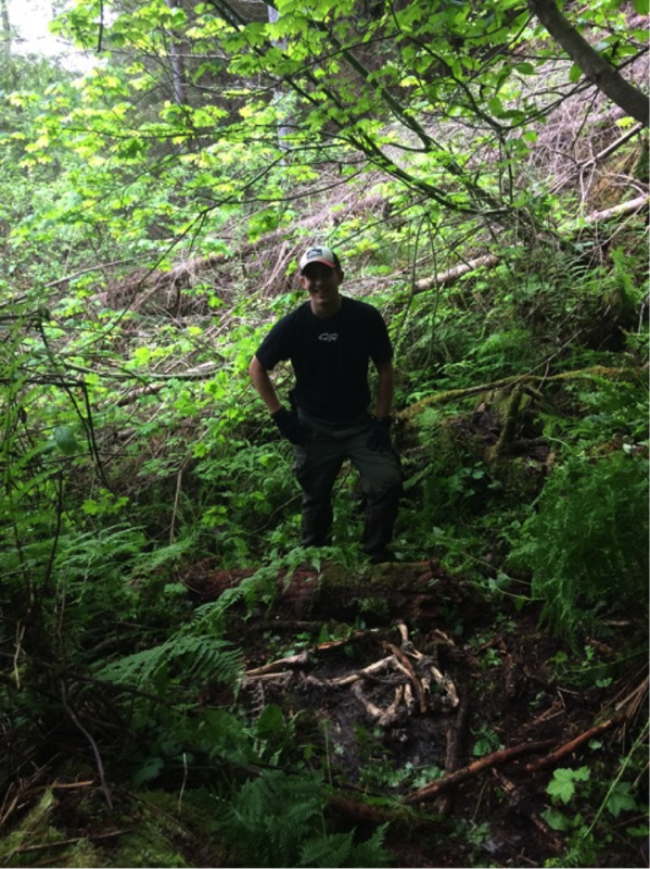 Researcher at a kill site examining bones among trees