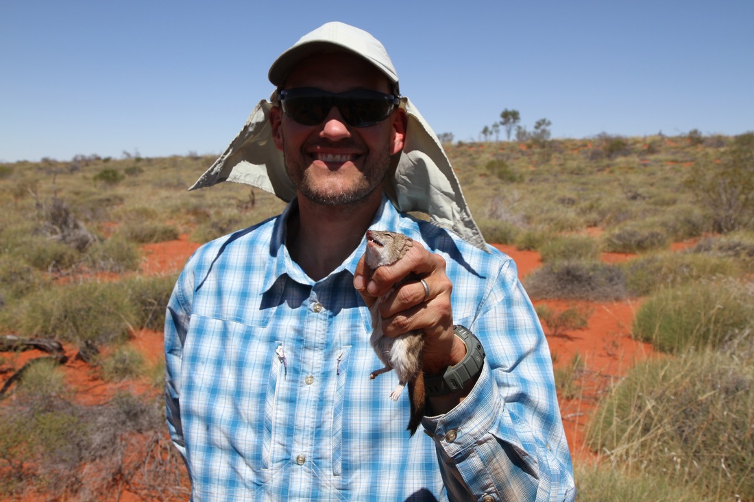 Aaron Wirsing holding a mulgara, a small Australian mammal, in the outback