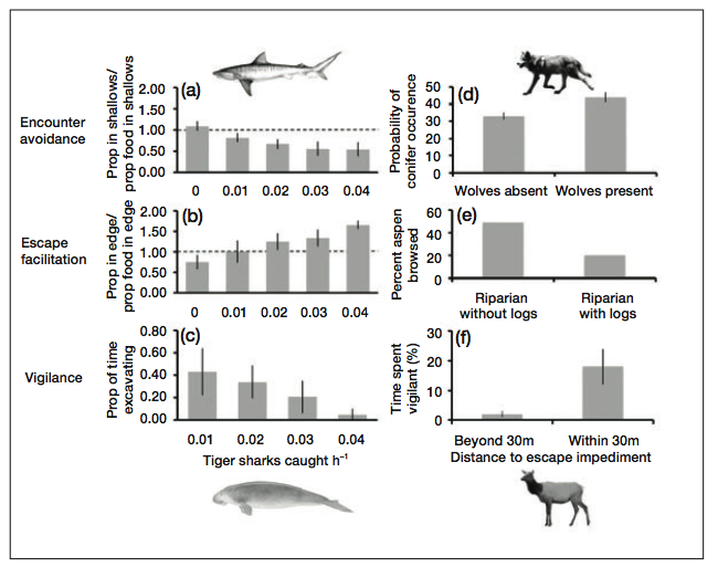 Charts comparing how sharks and wolves effect prey species