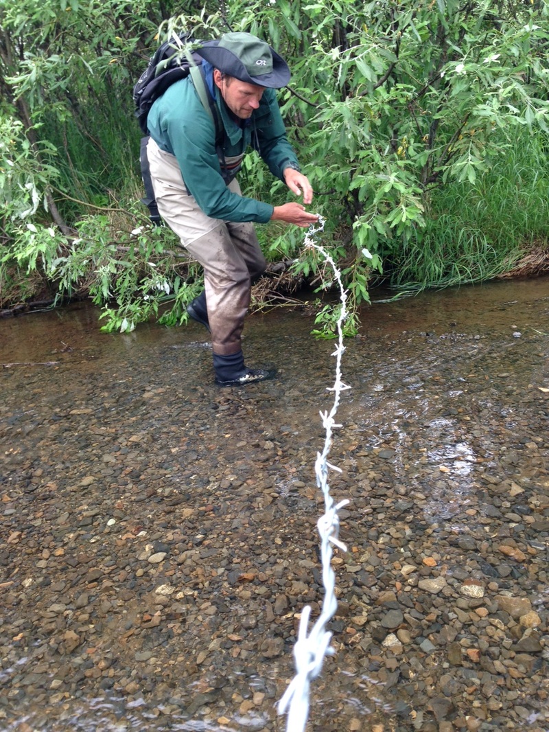 Aaron Wirsing running barbed wire across a stream to collect animal hair samples