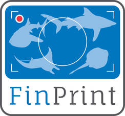 Logo for Fin Print