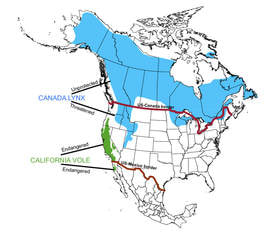 Map of North America with species ranges