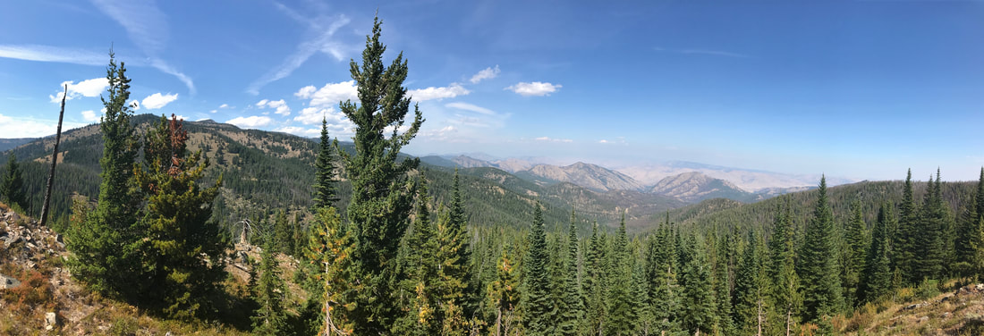 View of Okanogan area with mountains and an evergreen forest